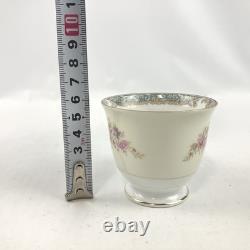 Old Noritake Demitasse Cup & Saucer set of 6 with 4 extra plates Flower