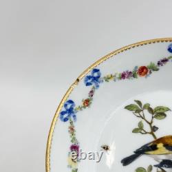 Pair Meissen Marcolini German Porcelain Demitasse Cup & Saucers Ornithological