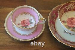 Paragon Demitasse Miniature Large Cabbage Rose Gold Teacup Tea cup Saucer Pink