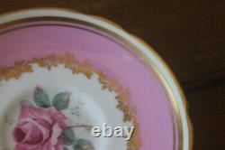 Paragon Demitasse Miniature Large Cabbage Rose Gold Teacup Tea cup Saucer Pink