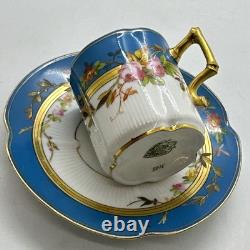 Pirkenhammer Czech Porcelain Demitasse Cup & Saucer Hand Painted Gold Encrusted