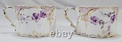RARE ANTIQUE Rosenthal Sanssouci Purple Violets 6 Demitasse Cups Saucers + Tray