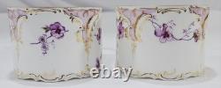 RARE ANTIQUE Rosenthal Sanssouci Purple Violets 6 Demitasse Cups Saucers + Tray