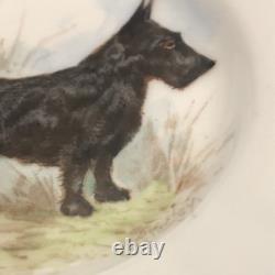 Rare Set 3 Royal Crown Derby DOG Demitasse Cups Saucers Artist Signed Stunning 4