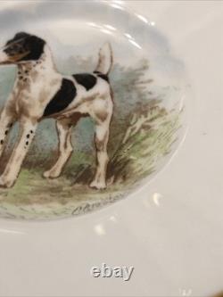 Rare Set 4 Royal Crown Derby DOG Demitasse Cups Saucers Artist Signed Stunning 1