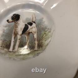 Rare Set 4 Royal Crown Derby DOG Demitasse Cups Saucers Artist Signed Stunning 3