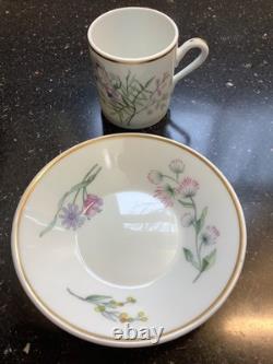 Richard Ginori 1735 Porcelain Primavera Demitasse Cups & Saucers 15 Sets-italy