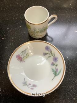 Richard Ginori 1735 Porcelain Primavera Demitasse Cups & Saucers 15 Sets-italy