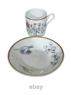Richard Ginori 1735 Porcelain Primavera Demitasse Cups & Saucers Set Of 12