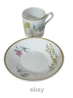 Richard Ginori 1735 Porcelain Primavera Demitasse Cups & Saucers Set Of 12