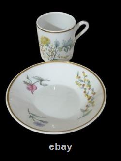 Richard Ginori 1735 Porcelain Primavera Demitasse Cups & Saucers Set Of 12
