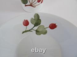 Richard Ginori Italy Red Currant Berry Demitasse Espresso Cups & Saucers Set 4