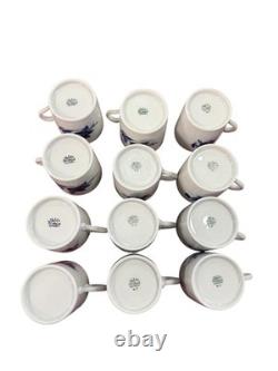 Richard Ginori Savona Demitasse Set For 12 Teapot Sugar Creamer Cups Saucers