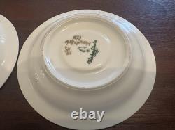 Rihiya Bavaria Porcelain Espresso Set Tray Cups Saucers Hand Painted Gold