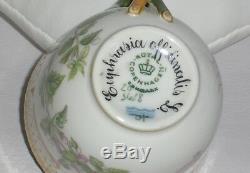 Royal Copenhagen Flora Danica Demi-Tasse Cup and Saucer, Erphrasia Officianalis