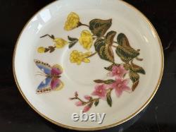 Royal Worcester 1800's Porcelain Floral Butterfly Demitasse Cup and Saucer
