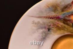 Royal Worcester VTG Hand painted signed J. STINTON demitasse cup saucer GOLD Set