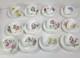 Set 12 Minton Demitasse Cup & Saucer Sets Botanical Garden Flowers B1329