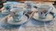 Set Of Four Vintage Mottahedeh The Merian Service Demitasse Cups & Saucers