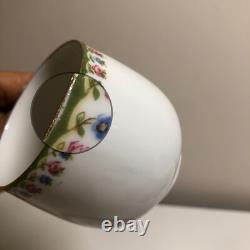 Set of 10, VTG LS. S. CARLSBAD Austria Demitasse Cup & Saucer Set with Rose Trim