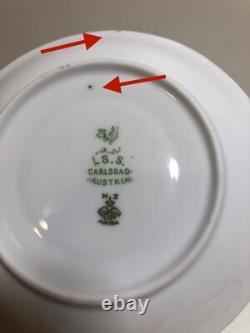 Set of 10, VTG LS. S. CARLSBAD Austria Demitasse Cup & Saucer Set with Rose Trim