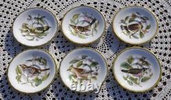 Spode Bone China Audubon Birds Demitasse Cups and Saucers 10 pieces