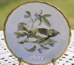 Spode Bone China Audubon Birds Demitasse Cups and Saucers 10 pieces