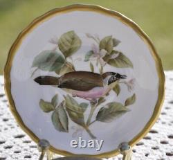 Spode Bone China Audubon Birds Demitasse Cups and Saucers 10 pieces