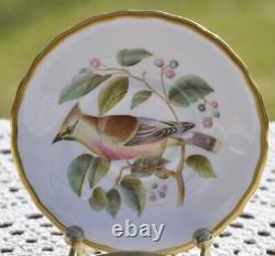 Spode Bone China Audubon Birds Demitasse Cups and Saucers 10 pieces