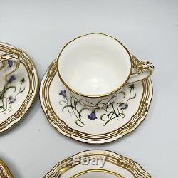 Spode Campanula Demitasse Espresso 8 Sets Blue Wildflowers Bone China England