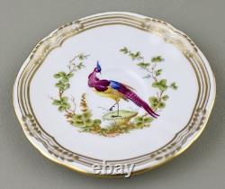 Spode Chelsea Bird Coffee Demitasse Cups & Saucers X 6 Royal Provenance Mint