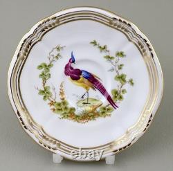 Spode Chelsea Bird Coffee Demitasse Cups & Saucers X 6 Royal Provenance Mint