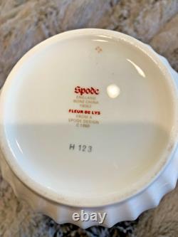 Spode Fleur de lys gold demitasse 12 cup saucer set coffee and teapot. Unused