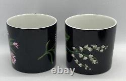 Tiffany & Co MRS Delany' s Flowers By Sybil Connolly Demitasse 2Cups Saucers
