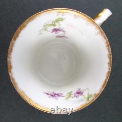 VIOLETS 4 CUPS & SAUCERS Demitasse, Cocoa antique HAVILAND Schleiger 148b