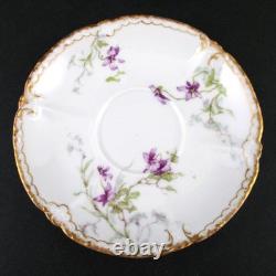 VIOLETS 4 CUPS & SAUCERS Demitasse, Cocoa antique HAVILAND Schleiger 148b