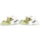 Villeroy & Boch Amazonia Rainforest Porcelain Demitasse Cup & Saucer Set Of 2