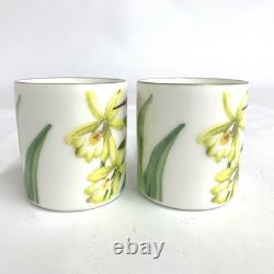 Villeroy & Boch Amazonia Rainforest Porcelain Demitasse Cup & Saucer Set of 2