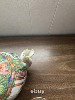 Vintage 13pc Rose Medallion Tea Set Teapot, 6 Teacups, 6 Demitasse Cups MCM