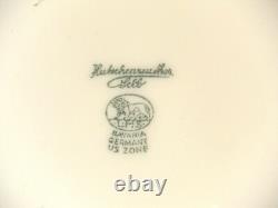 Vintage Hutschenreuther #5366 Tulips Demitasse Sets, Salad Plates & Soup Tureen