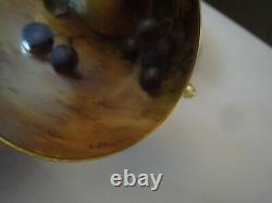 Vintage Royal Worcester Cup Saucer Painted Fruit Mini Demitasse Signed