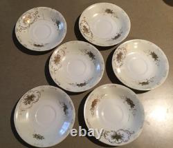 Vintage Shofu China Coffee/demitasse Sevice-Occupied Japan