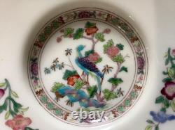 Wedgwood Bideford bone china demitasse cups & saucers W1081 SET of TEN