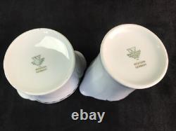 Wintering Demitasse Service for 12 Coffee Pot Cups Saucers Creamer Sugar Germany