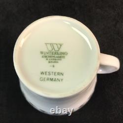 Wintering Demitasse Service for 12 Coffee Pot Cups Saucers Creamer Sugar Germany