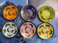 Yedi Butterfly Filigree Rim Demitasse Espresso Cup & Saucer A Set Of 6 NIB