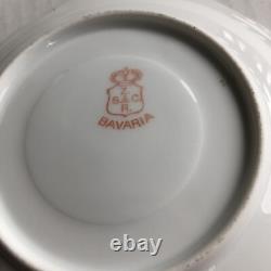 Z S & C Bavaria Demitasse Cup & Saucer Set Of 5 Pink Blue Floral Orleans ZSC60